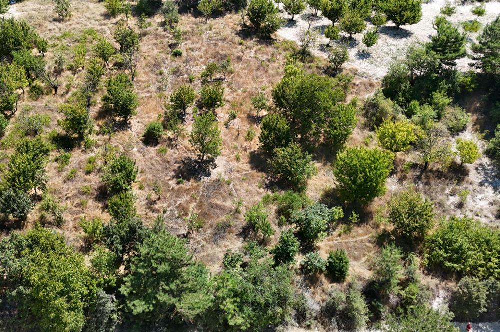 BURSA KELES'TE YOLA CEPHE YATIRIMLIK SATILIK TARLA