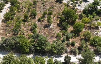 BURSA KELES'TE YOLA CEPHE YATIRIMLIK SATILIK TARLA