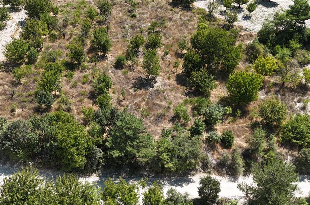 BURSA KELES'TE YOLA CEPHE YATIRIMLIK SATILIK TARLA