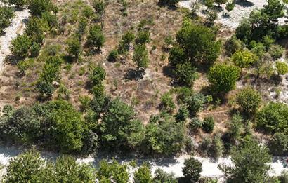 BURSA KELES'TE YOLA CEPHE YATIRIMLIK SATILIK TARLA