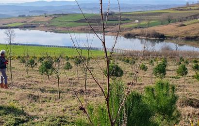 Aşırlar mh Eşsiz Meyve Bahçesi
