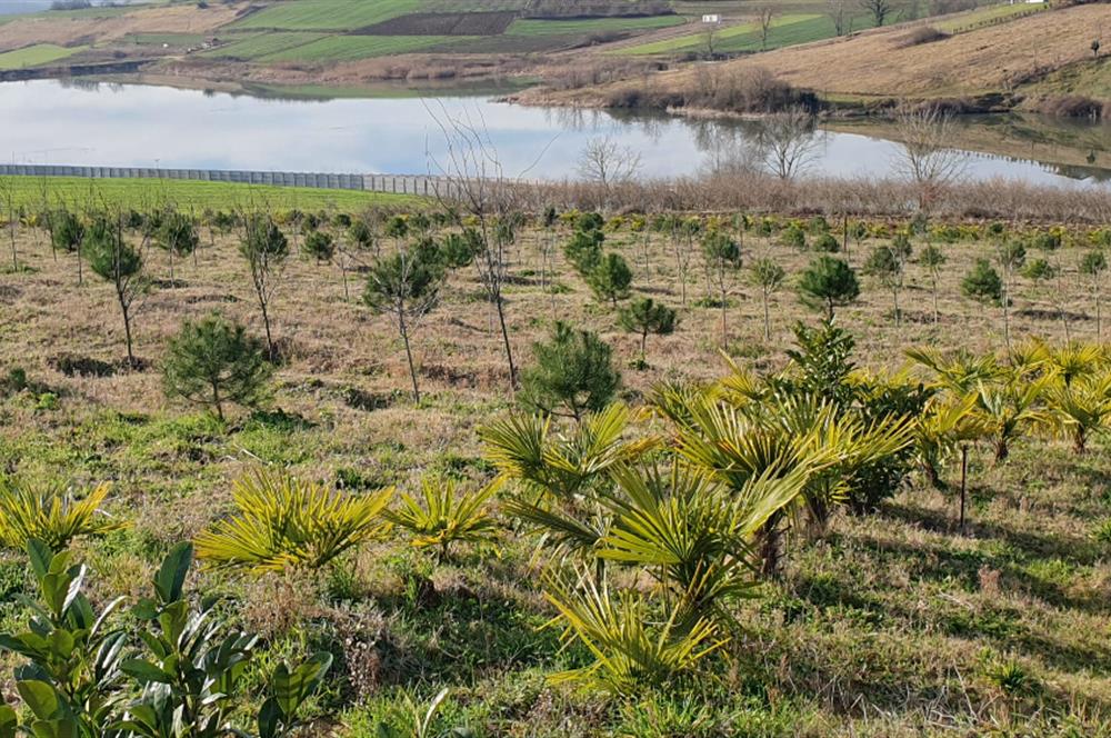 Aşırlar mh Eşsiz Meyve Bahçesi