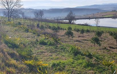 Aşırlar mh Eşsiz Meyve Bahçesi