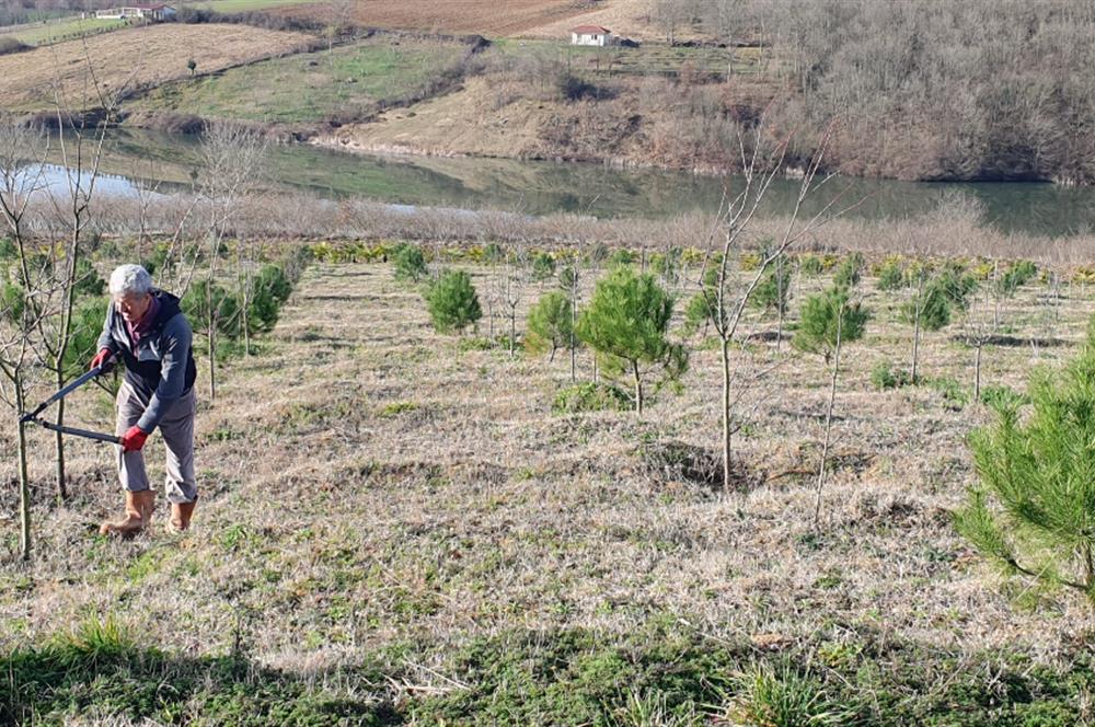 Aşırlar mh Eşsiz Meyve Bahçesi