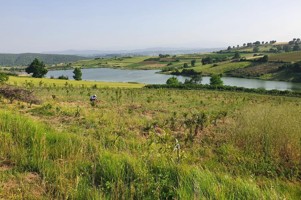 Aşırlar mh Eşsiz Meyve Bahçesi