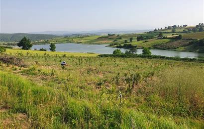 Aşırlar mh Eşsiz Meyve Bahçesi