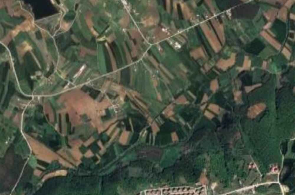 Aşırlar mh Eşsiz Meyve Bahçesi