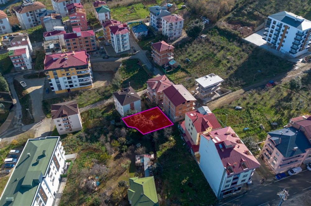 PELITLI SATILIK İMARLI ARSA