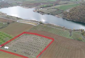 Aşırlar mh Eşsiz Meyve Bahçesi - 2 - 31043