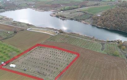 Aşırlar mh Eşsiz Meyve Bahçesi