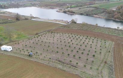 Aşırlar mh Eşsiz Meyve Bahçesi