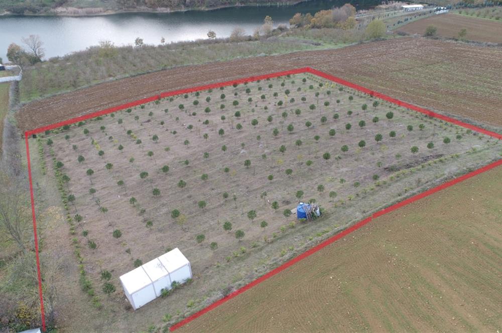 Aşırlar mh Eşsiz Meyve Bahçesi