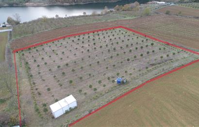 Aşırlar mh Eşsiz Meyve Bahçesi