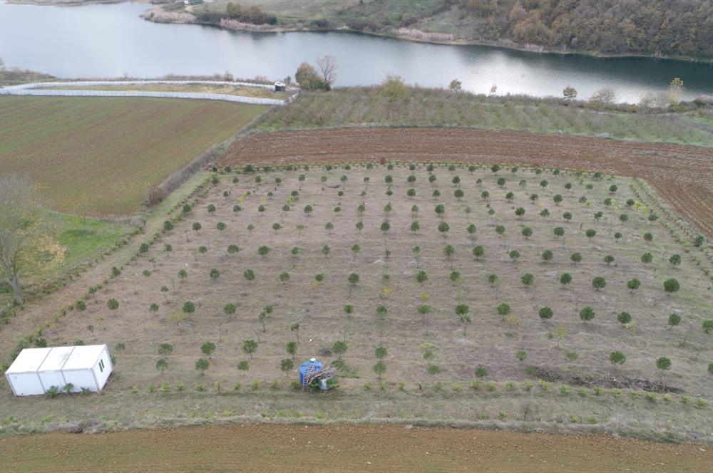 Aşırlar mh Eşsiz Meyve Bahçesi