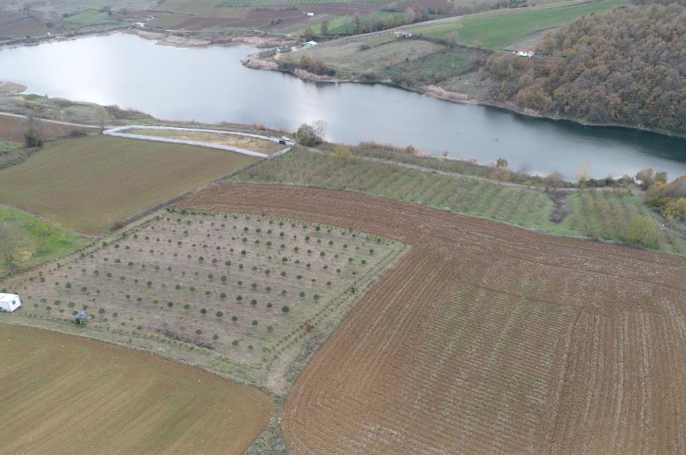 Aşırlar mh Eşsiz Meyve Bahçesi