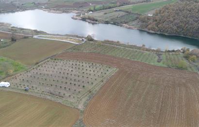 Aşırlar mh Eşsiz Meyve Bahçesi