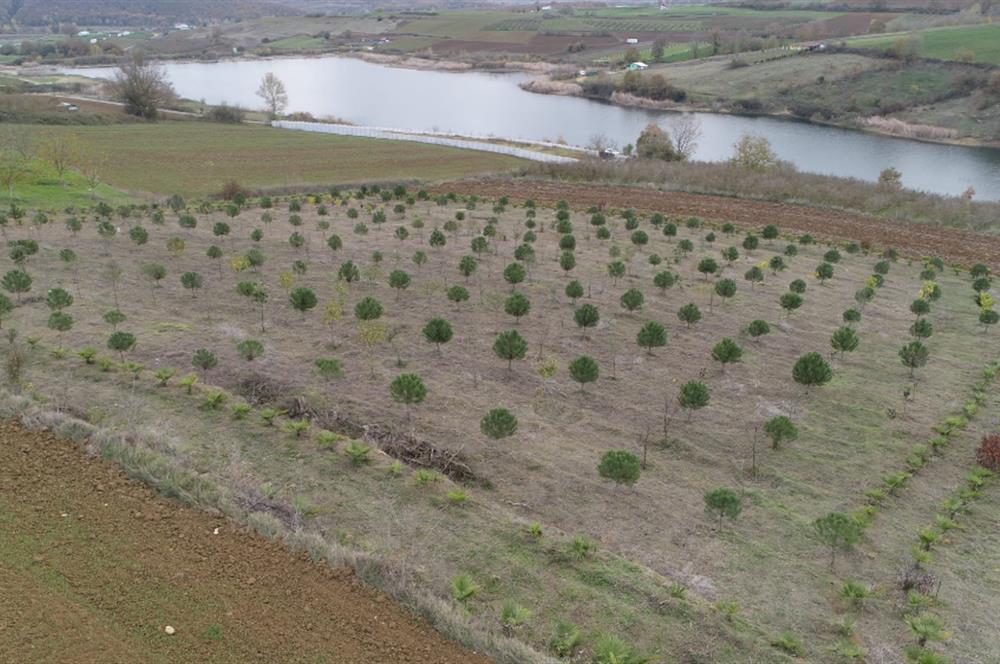 Aşırlar mh Eşsiz Meyve Bahçesi