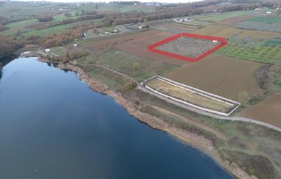 Aşırlar mh Eşsiz Meyve Bahçesi