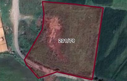 C.21 LOCA ALTIEYLÜL KÖSELER MAH.SATILIK 6673 M2 YATIRIMLIK TARLA