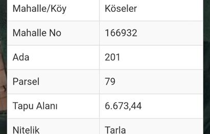 C.21 LOCA ALTIEYLÜL KÖSELER MAH.SATILIK 6673 M2 YATIRIMLIK TARLA