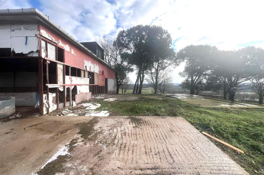 Pendik Emirlide Satılık Arsa