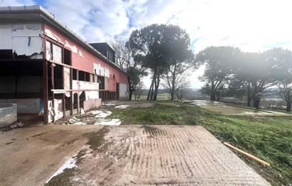 Pendik Emirlide Satılık Arsa