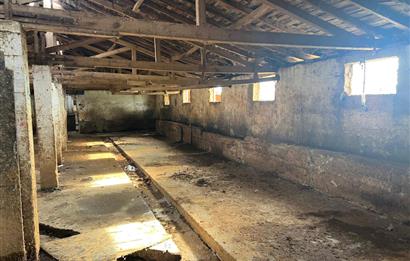 Pendik Emirlide Satılık Arsa