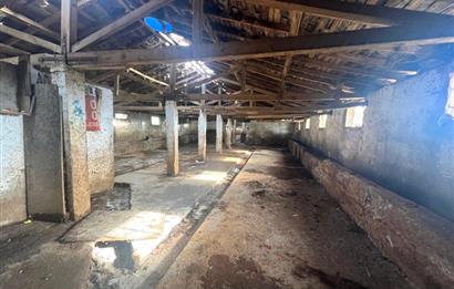 Pendik Emirlide Satılık Arsa