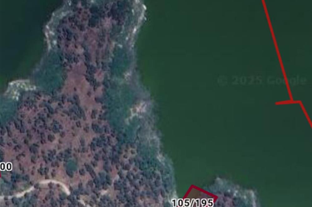 AYDIN KARPUZLU CUMALAR'DA 3 DÖNÜM ZEYTİNLİK