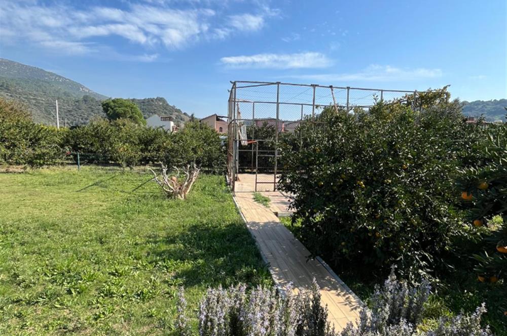 Egenin Gizli Bahçesi: Doğa, Lüks ve Yatırım Bir Arada