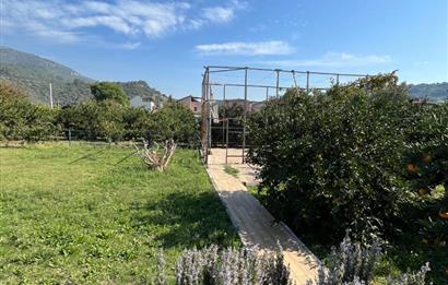 Egenin Gizli Bahçesi: Doğa, Lüks ve Yatırım Bir Arada