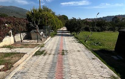 Ahmetbeyli'de Doğanın Kalbinde Mandalina Kokulu Lüks Villa