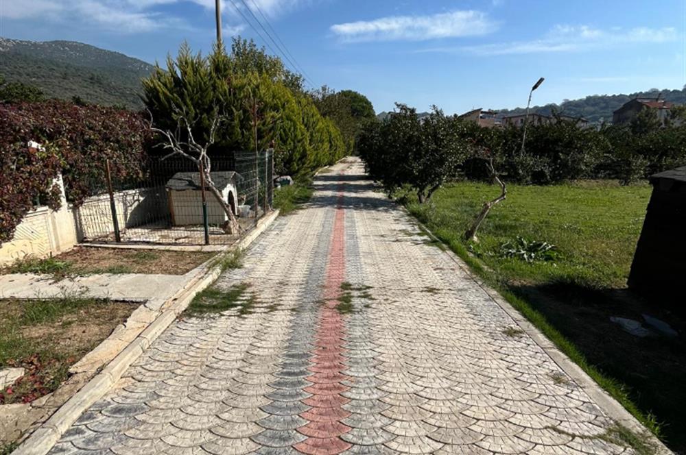 Egenin Gizli Bahçesi: Doğa, Lüks ve Yatırım Bir Arada