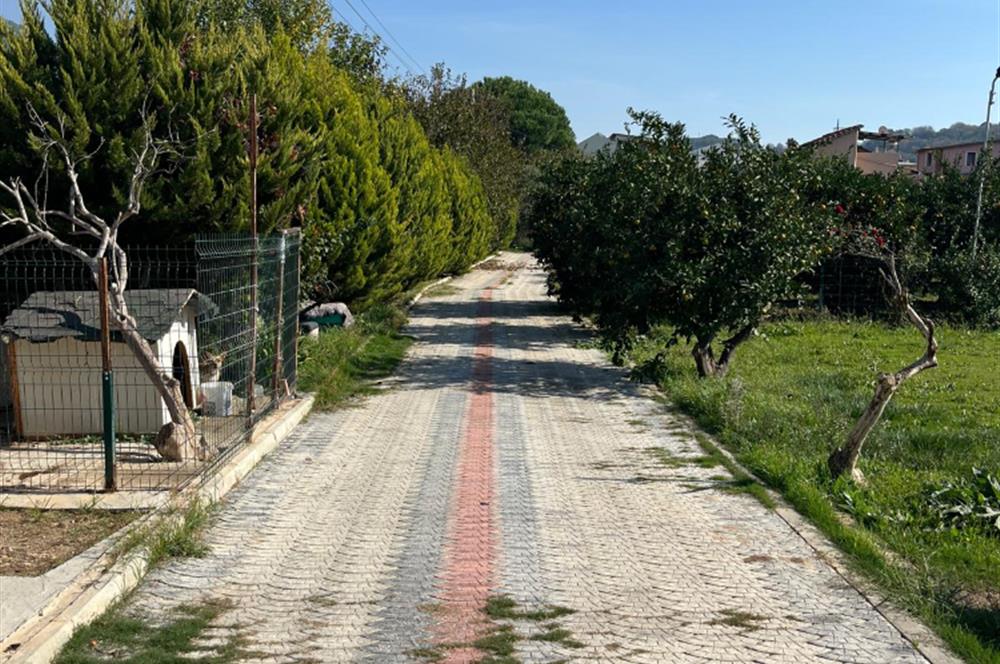 Egenin Gizli Bahçesi: Doğa, Lüks ve Yatırım Bir Arada