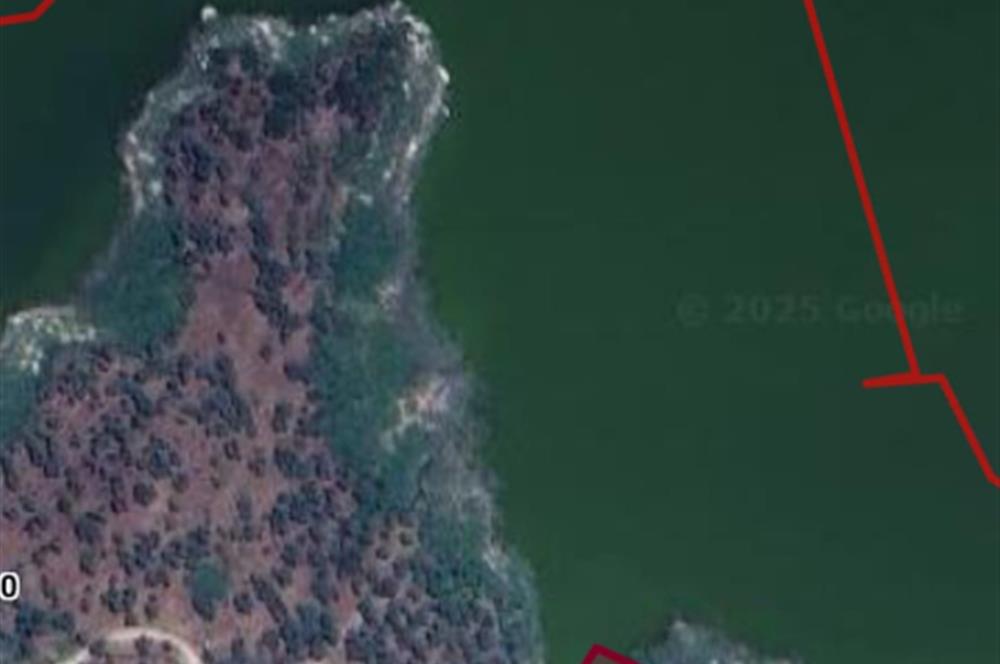 AYDIN KARPUZLU CUMALAR'DA 3 DÖNÜM ZEYTİNLİK