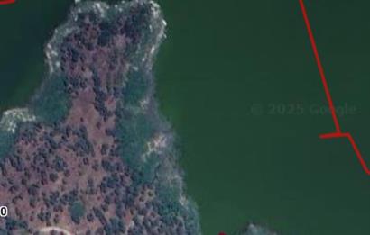 AYDIN KARPUZLU CUMALAR'DA 3 DÖNÜM ZEYTİNLİK