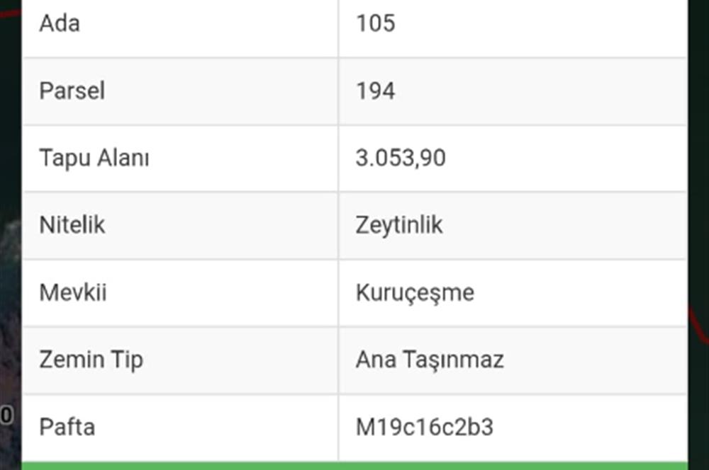 AYDIN KARPUZLU CUMALAR'DA 3 DÖNÜM ZEYTİNLİK