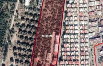 DİDİM FEVZİPAŞA'DA DENİZE SIFIR İMARLI VİLLA ARSASI