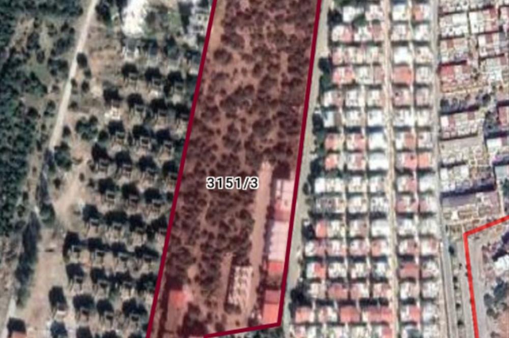 DİDİM FEVZİPAŞA'DA DENİZE SIFIR İMARLI VİLLA ARSASI