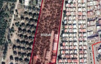 DİDİM FEVZİPAŞA'DA DENİZE SIFIR İMARLI VİLLA ARSASI