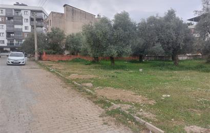 AYDIN İNCİRLİOVA MERKEZ'DE 5 KAT İMARLI 230 M2 ARSA