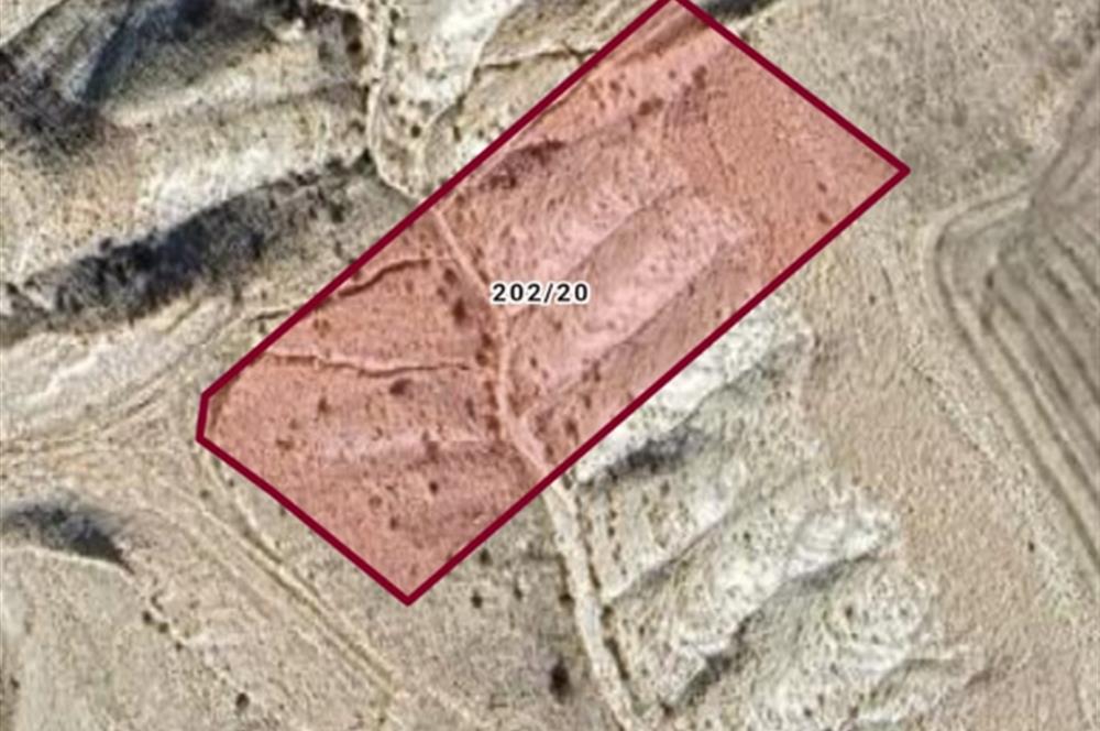 ANKARA AYAŞ TEKKEİMAR'DA TOPLAM 5000 M2 HİSSELİ NET 500 M2 ARSA