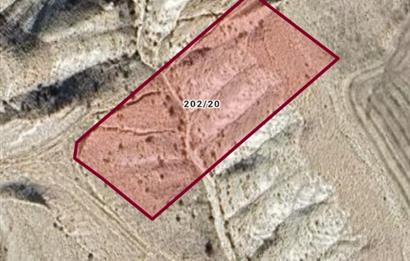 ANKARA AYAŞ TEKKEİMAR'DA TOPLAM 5000 M2 HİSSELİ NET 500 M2 ARSA