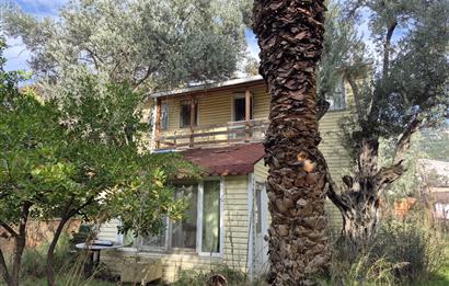 C21 Cius; Denize Kenarı 580 m2 Bahçe İçerisinde Müstakil Ev-Kapaklı