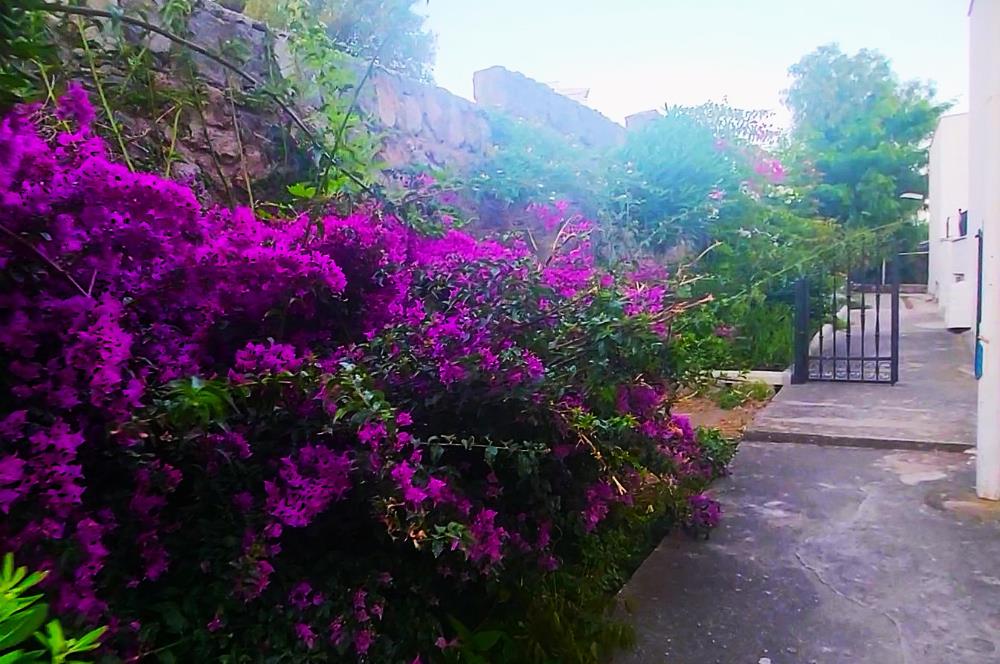 Bodrum Bağla Bank Ev Sitesinde 2+1 Eşyalı Kiralık Daire