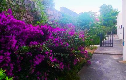 Bodrum Bağla Bank Ev Sitesinde 2+1 Eşyalı Kiralık Daire