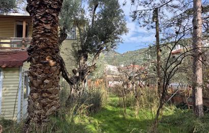 C21 Cius; Denize Kenarı 580 m2 Bahçe İçerisinde Müstakil Ev-Kapaklı