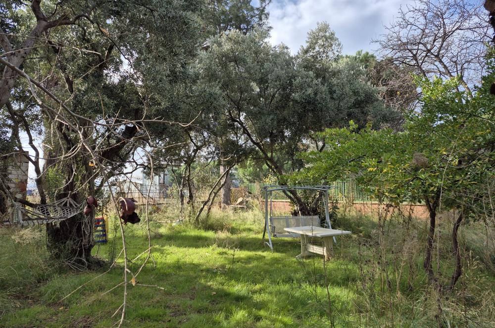 C21 Cius; Denize Kenarı 580 m2 Bahçe İçerisinde Müstakil Ev-Kapaklı