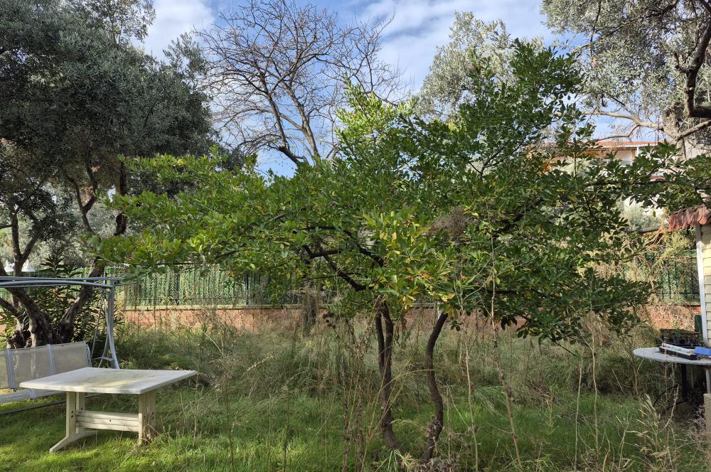 C21 Cius; Denize Kenarı 580 m2 Bahçe İçerisinde Müstakil Ev-Kapaklı