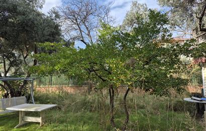 C21 Cius; Denize Kenarı 580 m2 Bahçe İçerisinde Müstakil Ev-Kapaklı